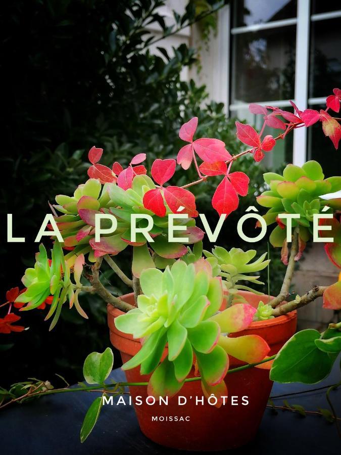 La Prevote Bed & Breakfast Moissac Exterior foto