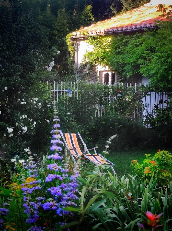 La Prevote Bed & Breakfast Moissac Exterior foto